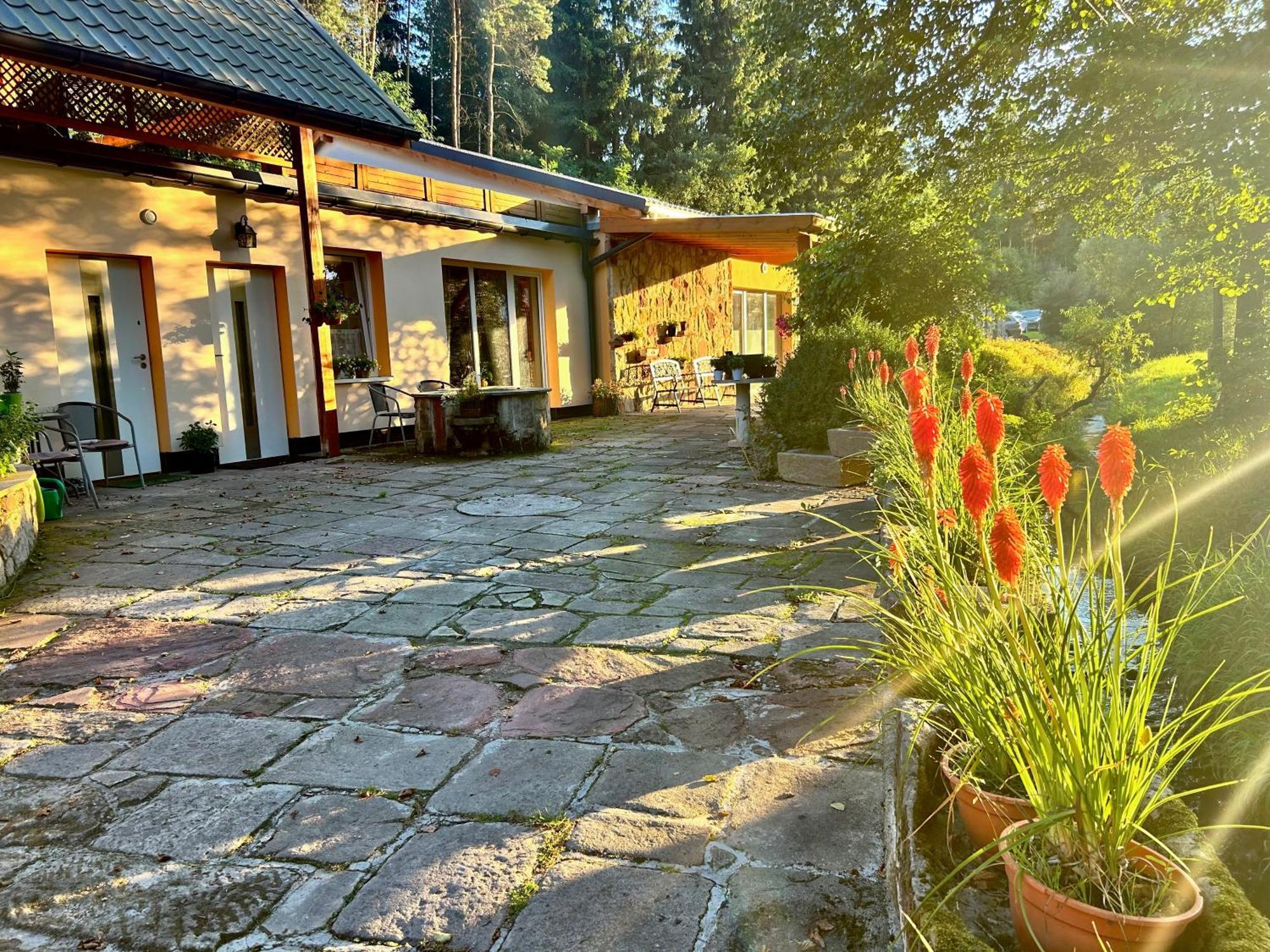 Villa Zielona Roza Wambierzyce Exterior foto